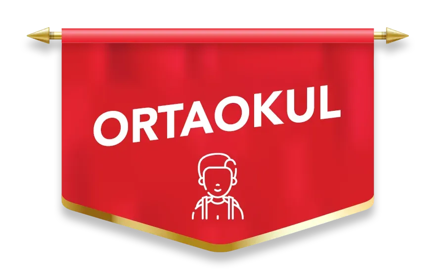 Ortaokul